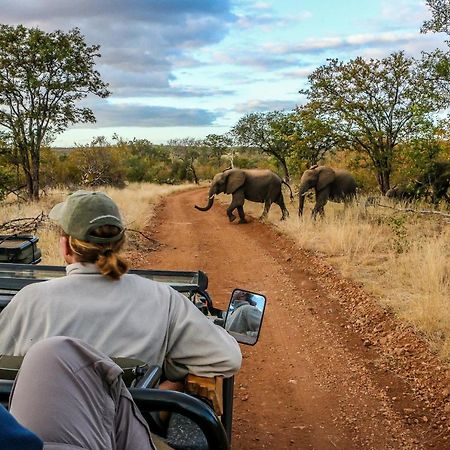 Ndzuti Safari Camp Balule Game Reserve Exterior foto