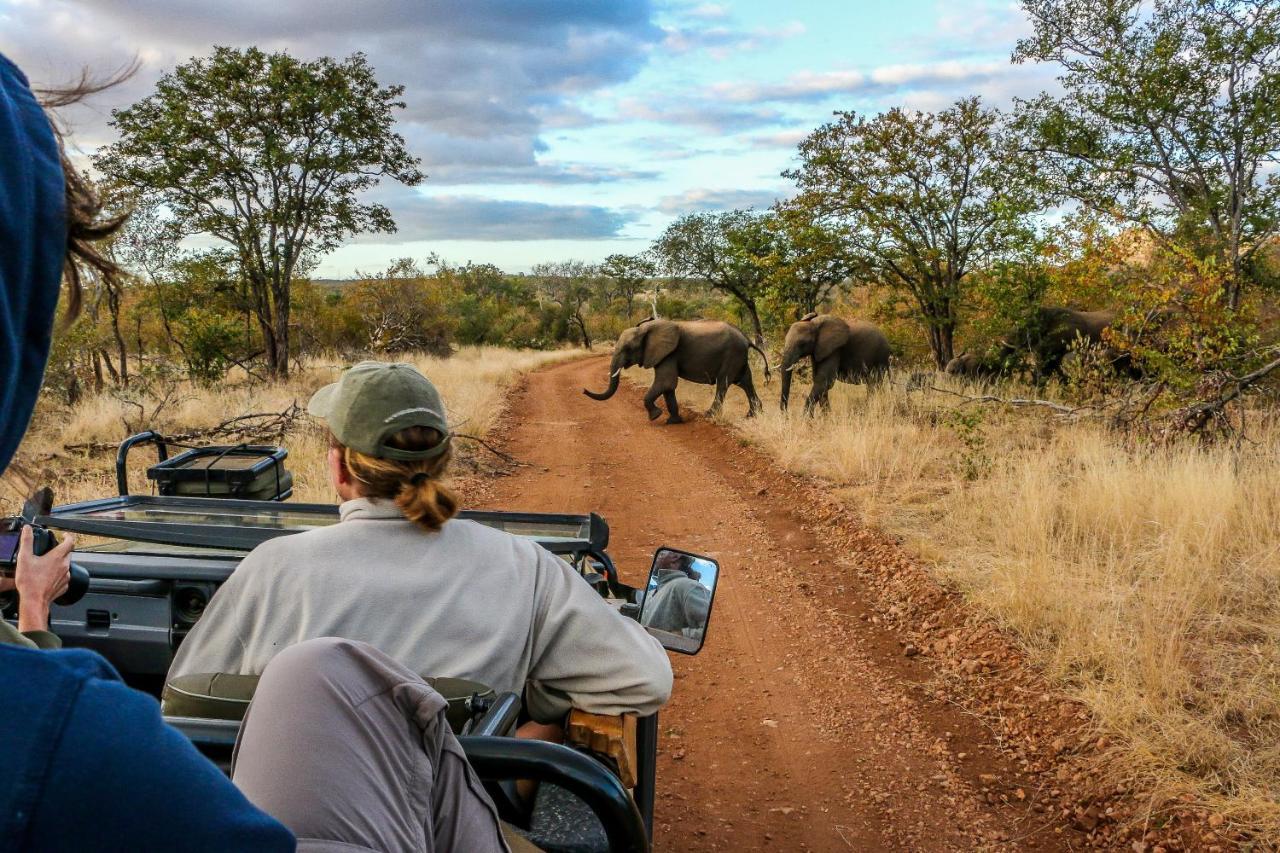 Ndzuti Safari Camp Balule Game Reserve Exterior foto