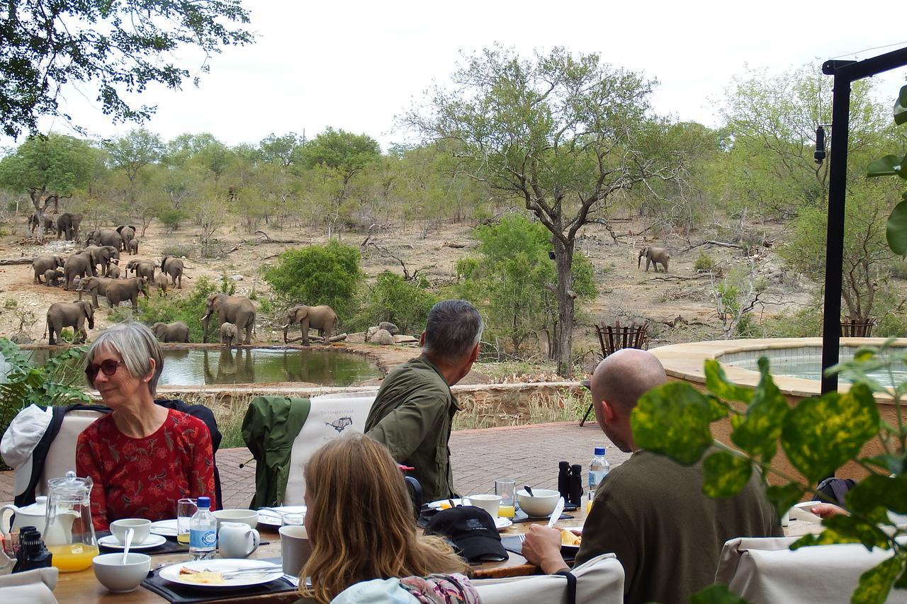 Ndzuti Safari Camp Balule Game Reserve Exterior foto