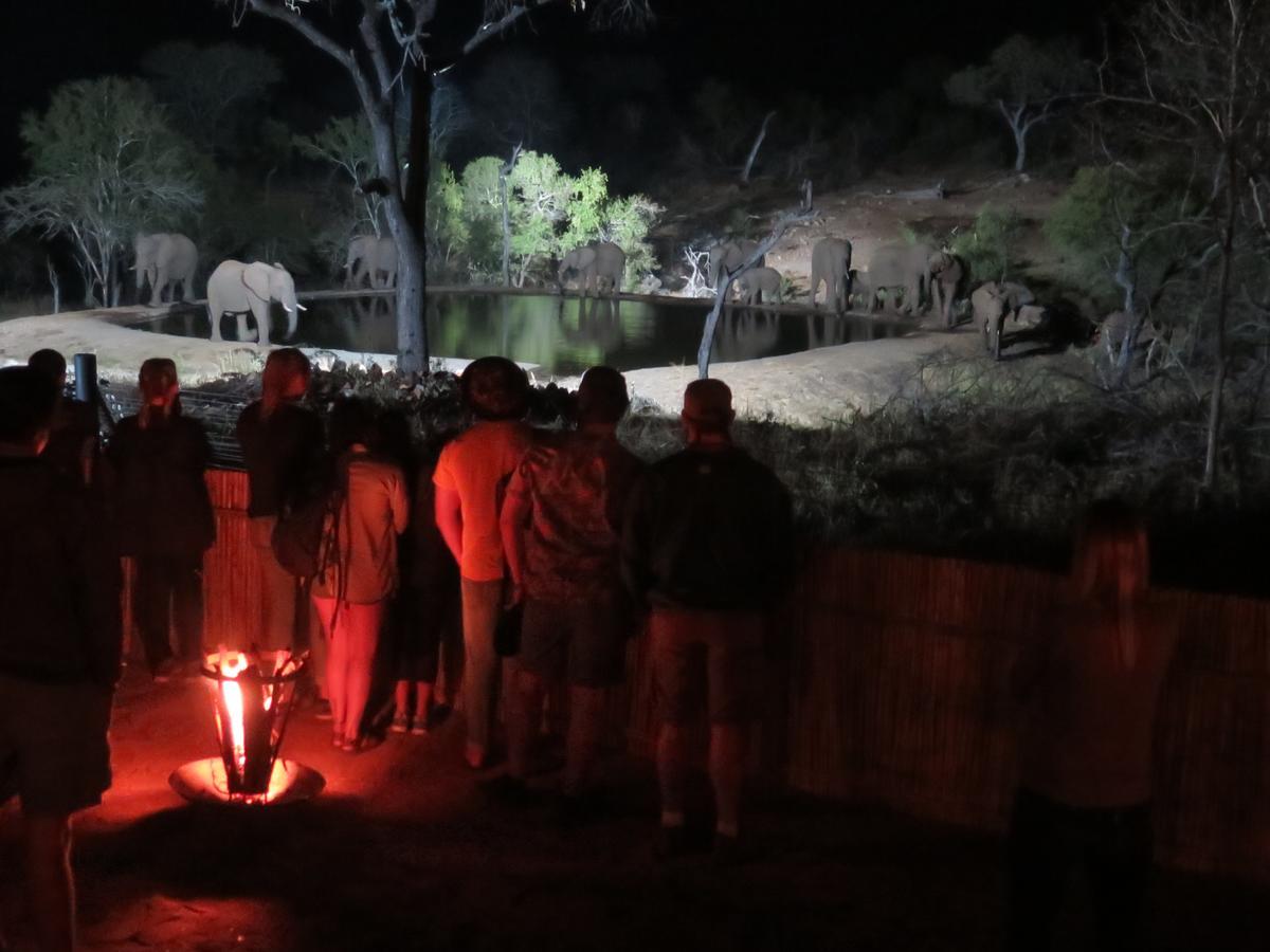 Ndzuti Safari Camp Balule Game Reserve Exterior foto