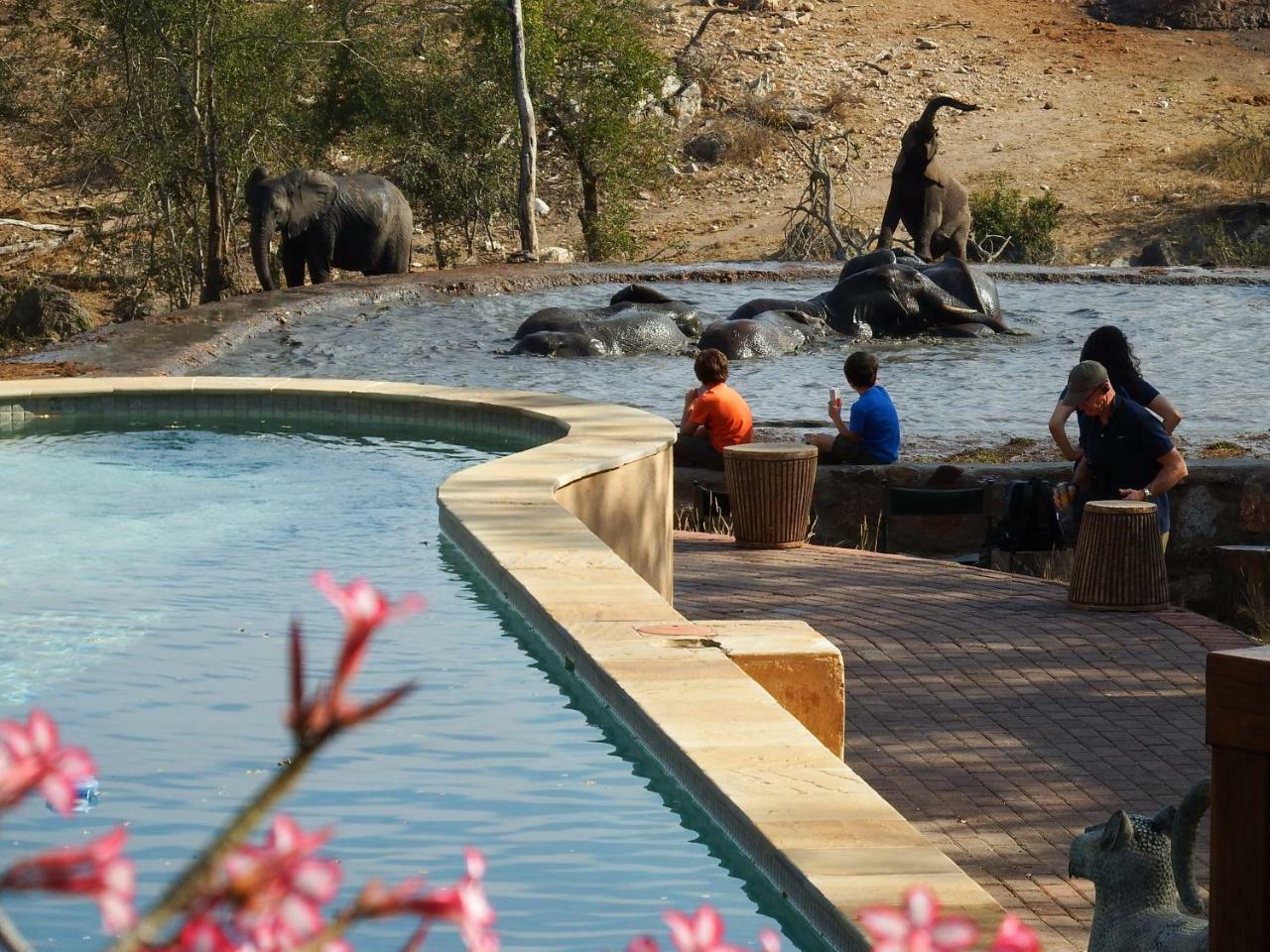 Ndzuti Safari Camp Balule Game Reserve Exterior foto