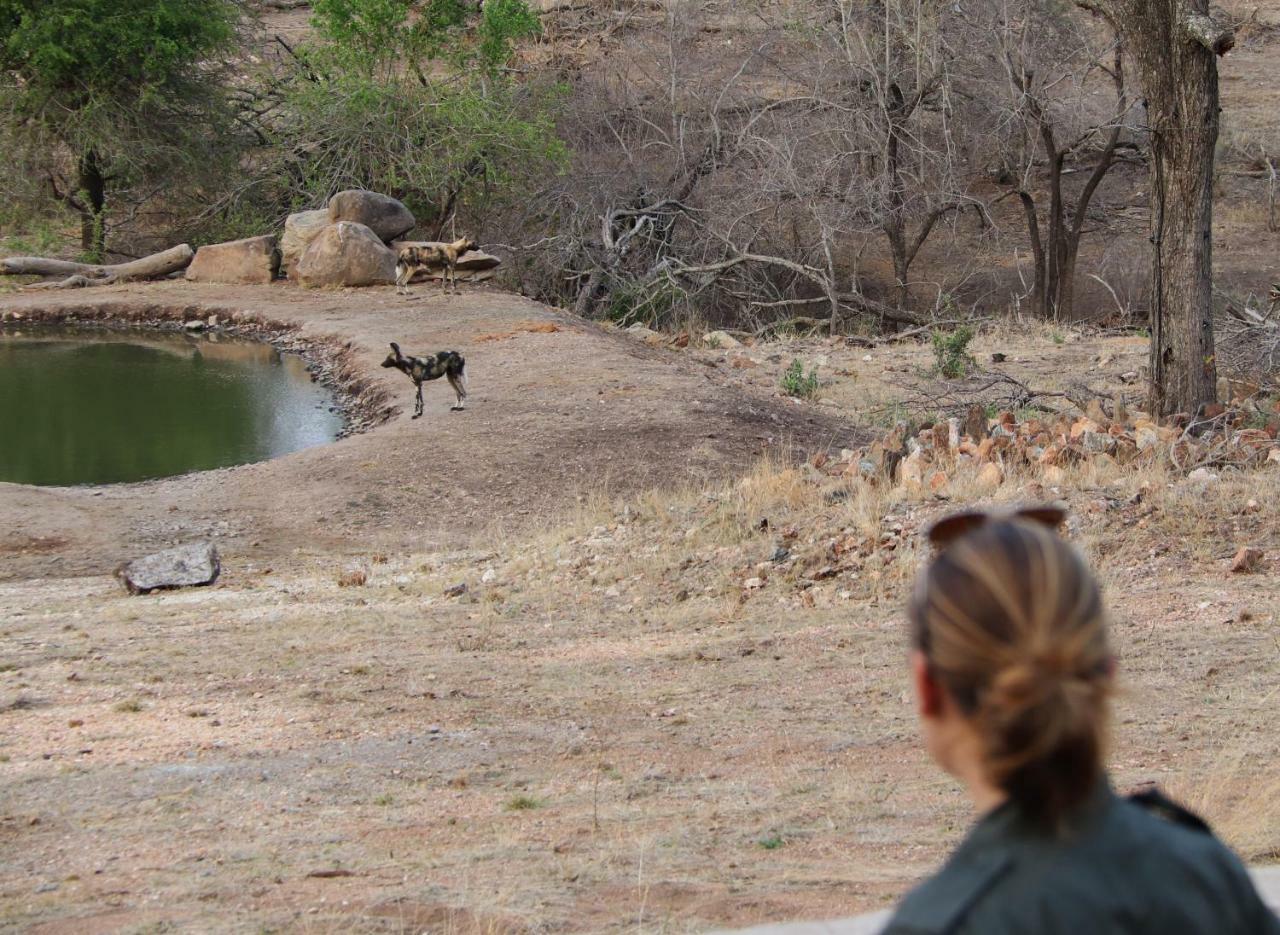 Ndzuti Safari Camp Balule Game Reserve Exterior foto