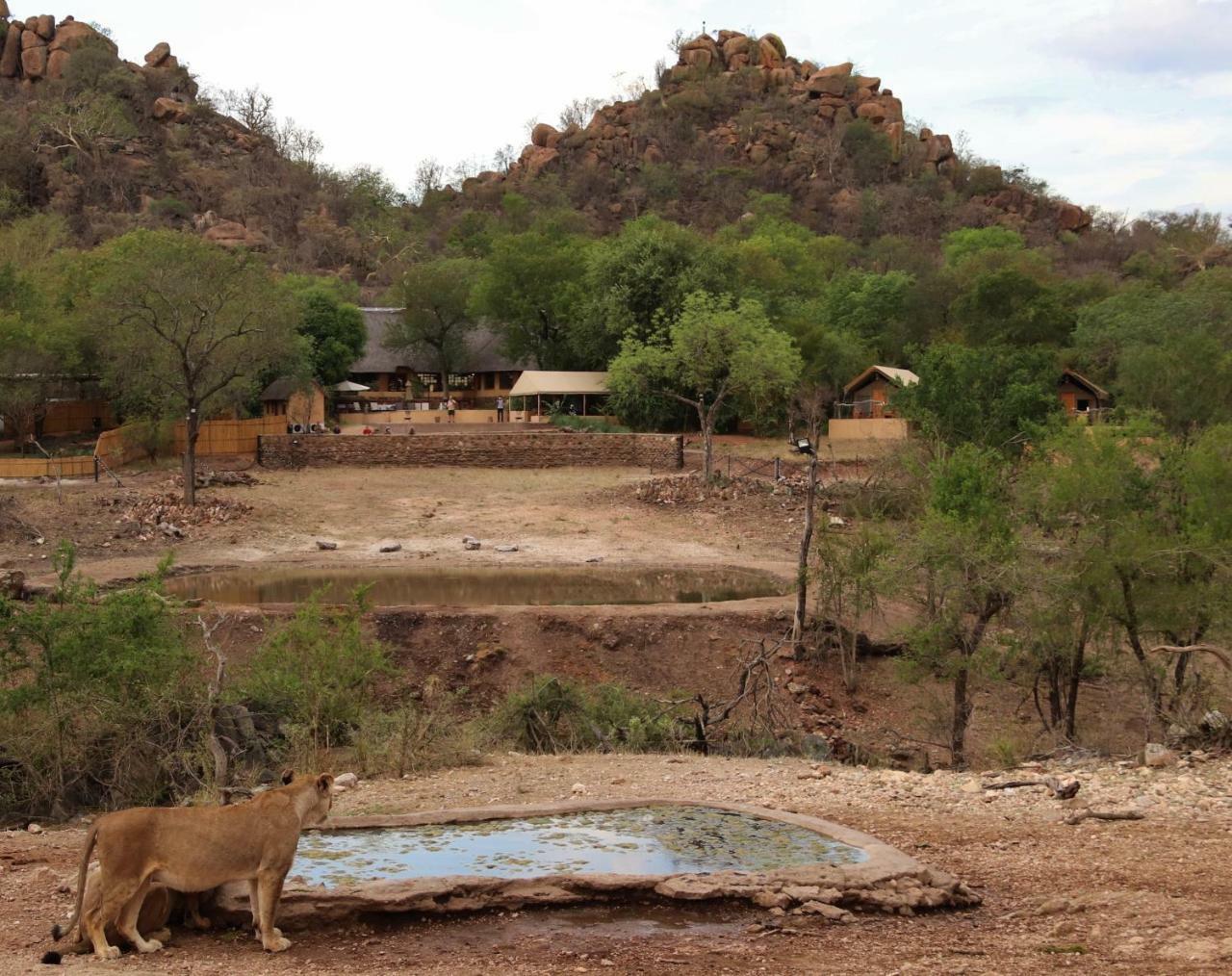 Ndzuti Safari Camp Balule Game Reserve Exterior foto