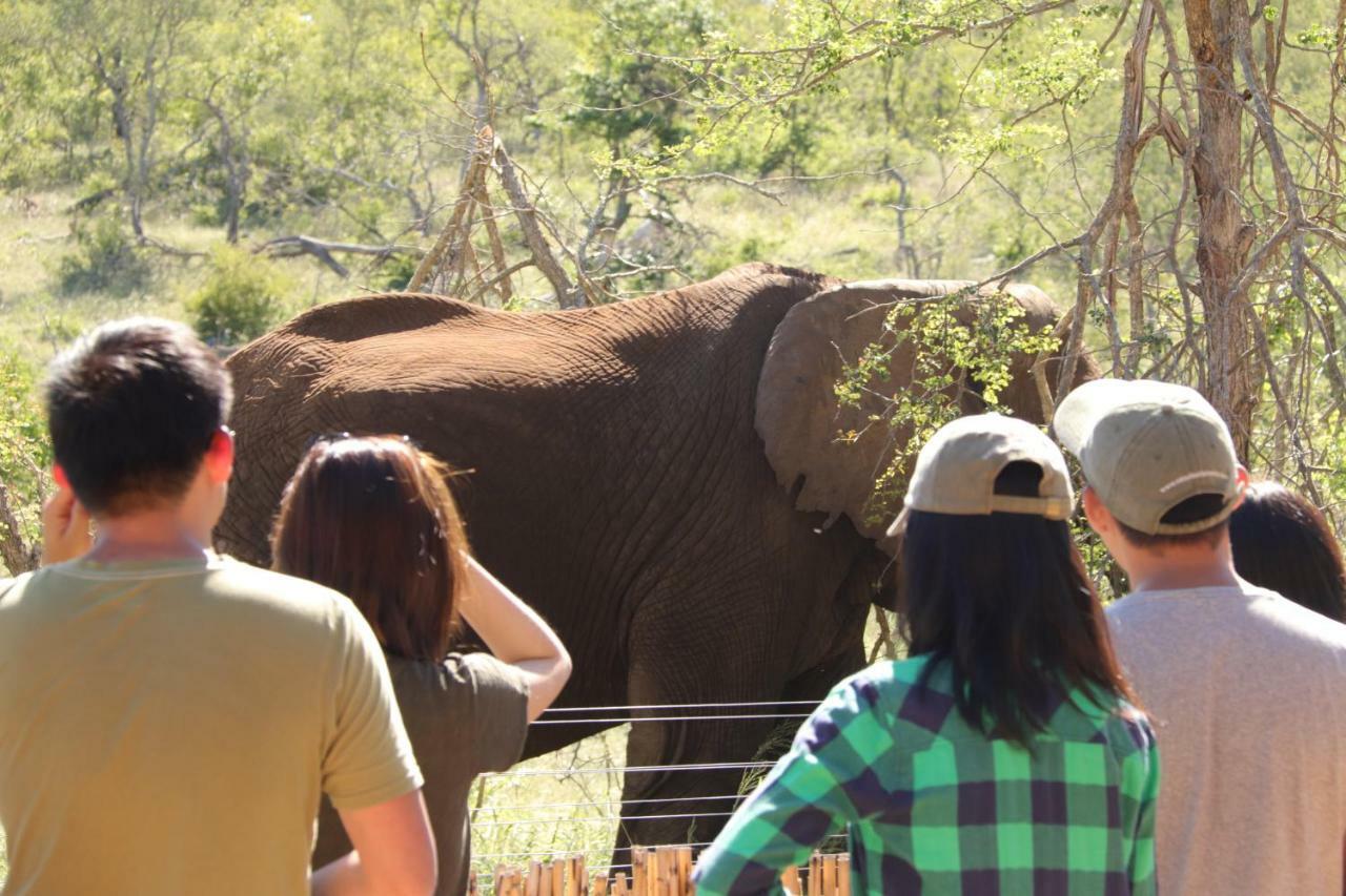 Ndzuti Safari Camp Balule Game Reserve Exterior foto