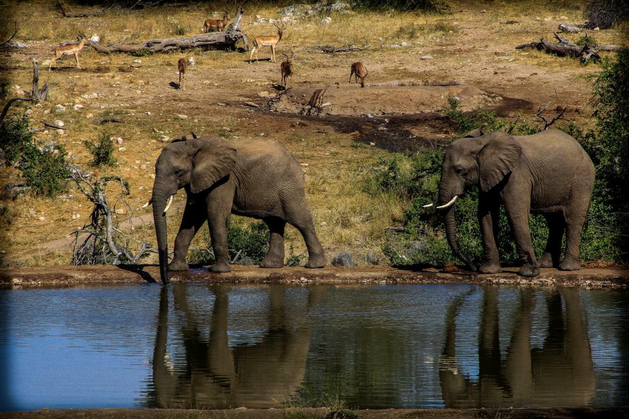 Ndzuti Safari Camp Balule Game Reserve Exterior foto