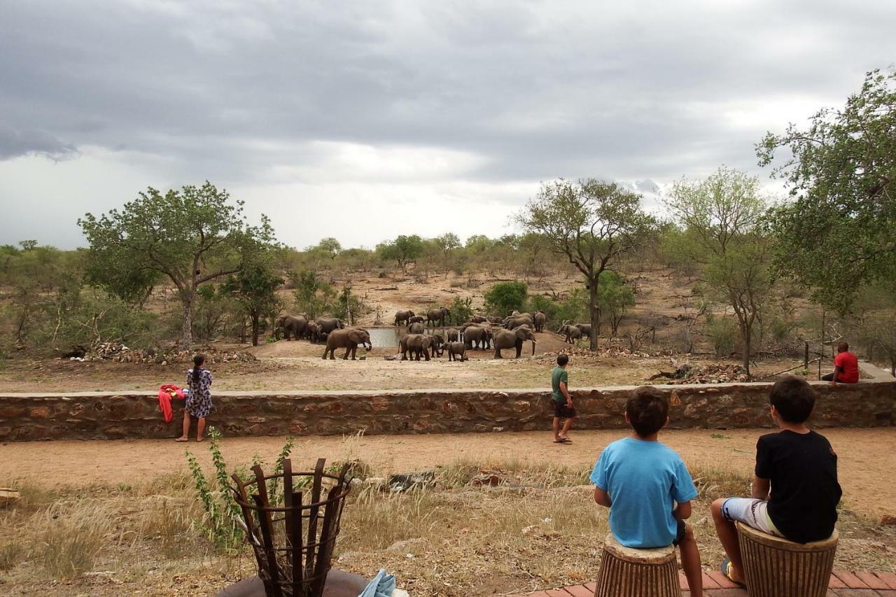 Ndzuti Safari Camp Balule Game Reserve Exterior foto