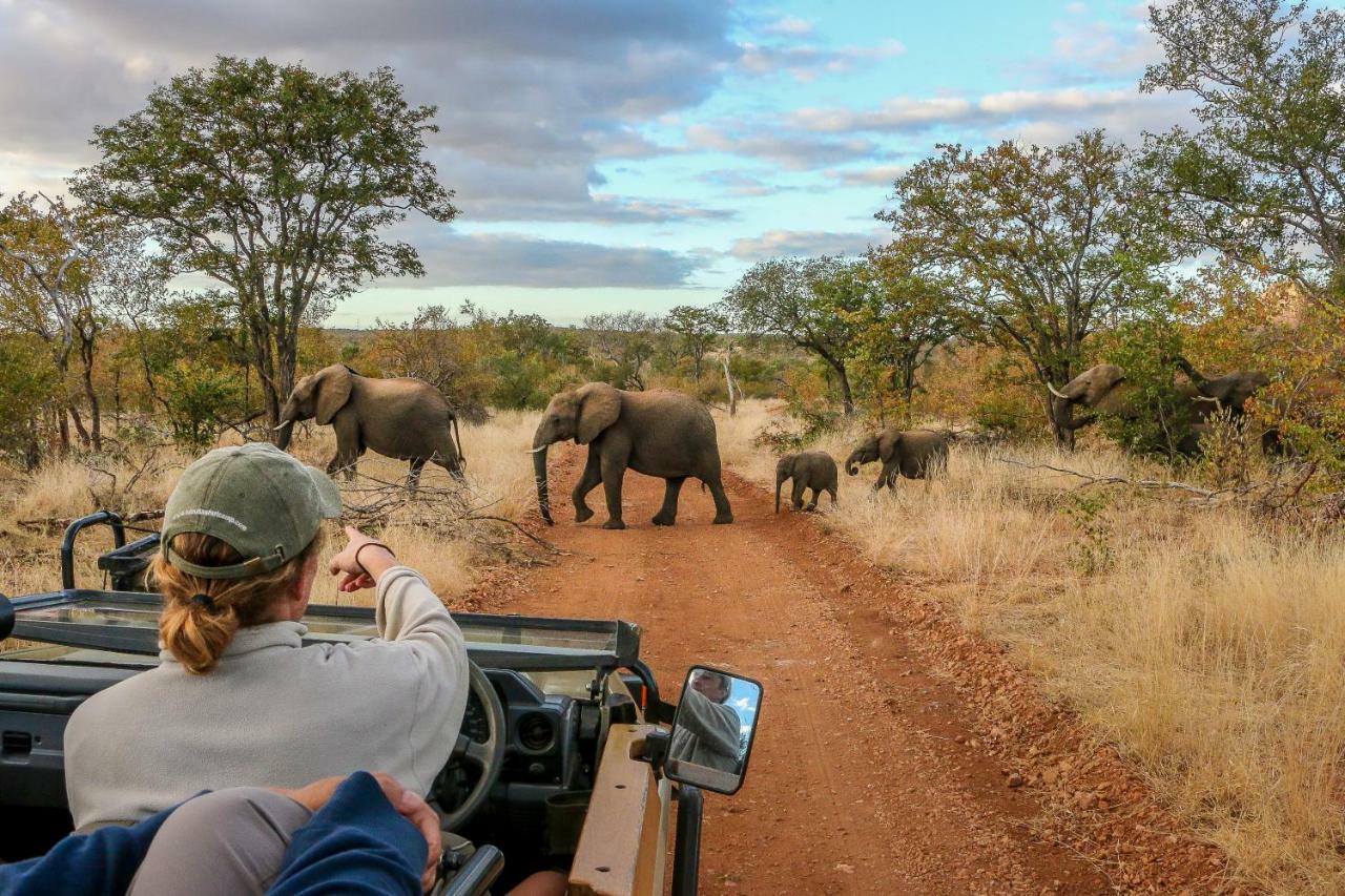 Ndzuti Safari Camp Balule Game Reserve Exterior foto