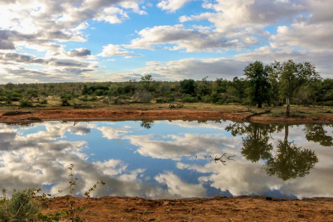 Ndzuti Safari Camp Balule Game Reserve Exterior foto