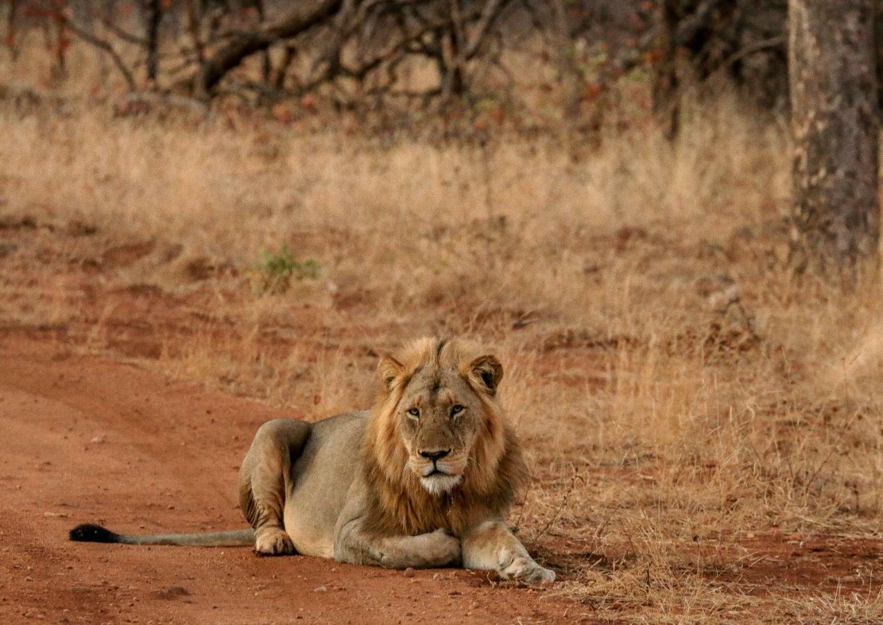 Ndzuti Safari Camp Balule Game Reserve Exterior foto